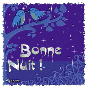 bonne nuit oiseaux