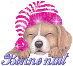 bonne nuit chien