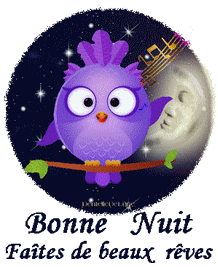 bonne nuit oiseau