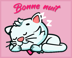 bonne nuit chat