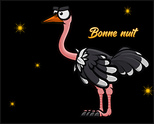 bonne nuit autruche