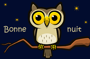 bonne nuit hiboux