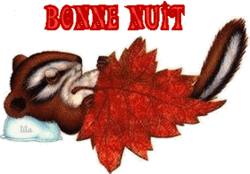 bonne nuit écureuil