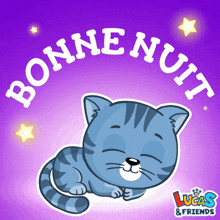 bonne nuit chat