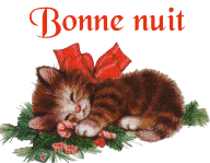 bonne nuit chat