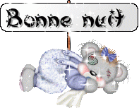 bonne nuit nounours