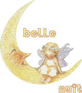 belle nuit lune et ange