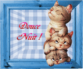 douce nuit chat