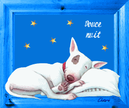 douce nuit chien