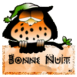 bonne nuit hiboux