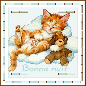 bonne nuit chat et ourson