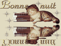 bonne nuit chat