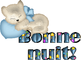 bonne nuit chaton
