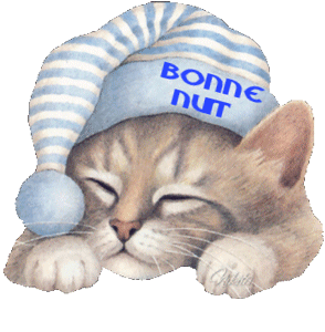 bonne nuit chat