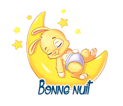 bonne nuit lapin