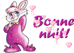 bonne nuit lapin