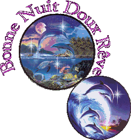 Gif animé bonne nuit dauphins