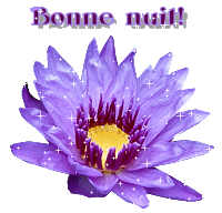 Gif animé bonne nuit fleur