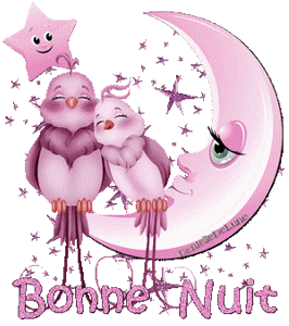 gif bonne nuit oiseaux