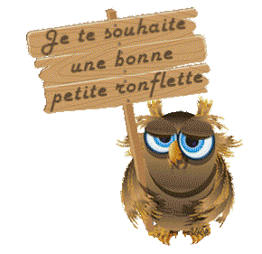 gif bonne nuit chouette