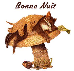 gif bonne nuit souris