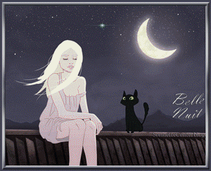 gif bonne nuit fille et chat
