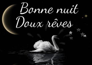 gif bonne nuit signe