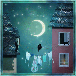 gif bonne nuit chats