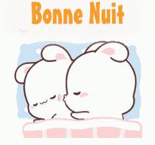 bonne nuit a deux