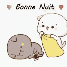 bonne nuit couvrir