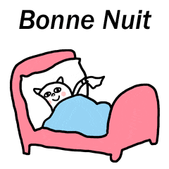 bonne nuit chat