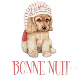 bonne nuit petit chien