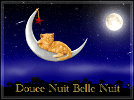 douce nuit belle nuit lune 