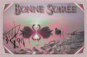 Gif animé bonne soirée cygnes