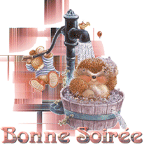 Gif animé bonne soirée fontaine