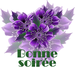 Gif animé bonne soirée pensée