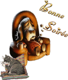 Gif animé bonne soirée SUR MON FAUTEUIL