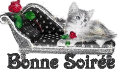 Gif animé bonne soirée chat