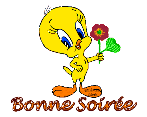 Gif animé bonne soirée Titi