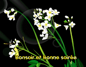 Gif animé bonne soirée fleurs