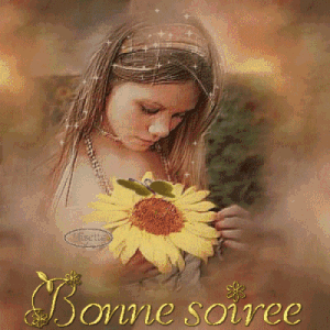 Gif animé bonne soirée papillon