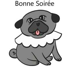 Gif animé bonne soirée chien