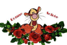 Gif animé bonne soirée chat