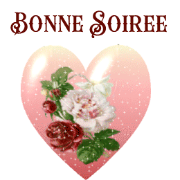 Gif animé bonne soirée a la tienne