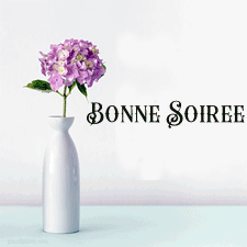 Gif animé bonne soirée fleurs bleues