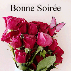 Gif animé bonne soirée papillon