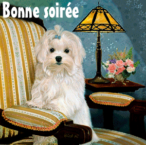 Gif animé bonne soirée chez soi