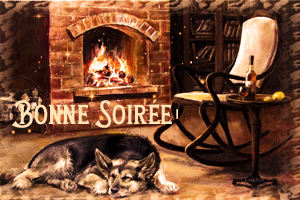 Gif animé bonne soirée au coin du feu