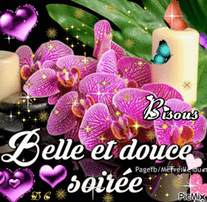 Gif belle et douce soirée