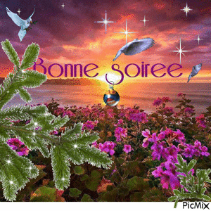 Gif animé bonne soirée couché de soleil